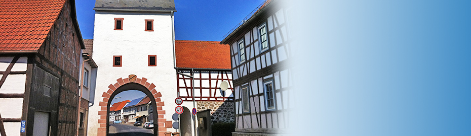 Haus Kaufen In Hammersbach Vr Bank Main Kinzig Budingen Eg