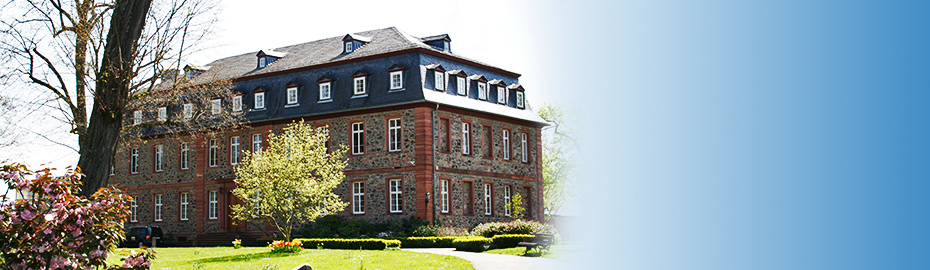 Haus Kaufen In Langenselbold Vr Bank Main Kinzig Budingen Eg