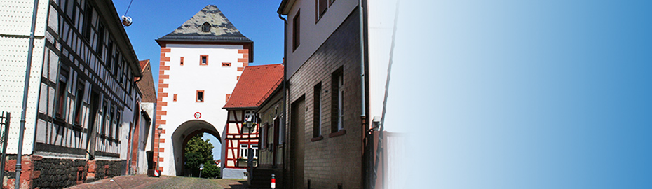 Haus Kaufen In Maintal Vr Bank Main Kinzig Budingen Eg
