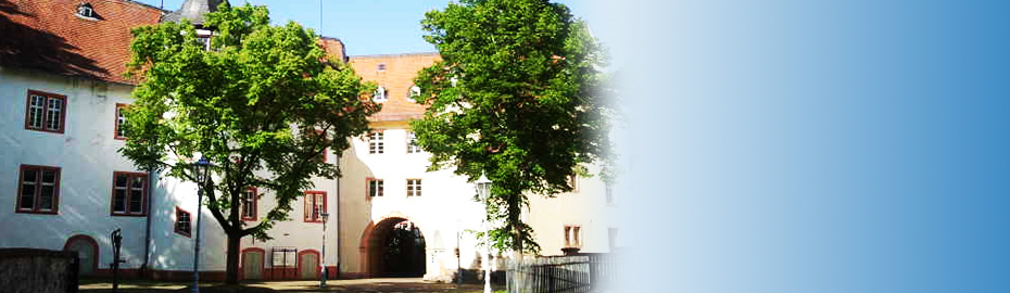 Haus Kaufen In Nidda Vr Bank Main Kinzig Budingen Eg