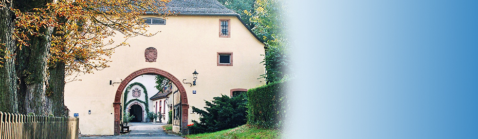 Haus Kaufen In Nidderau Vr Bank Main Kinzig Budingen Eg
